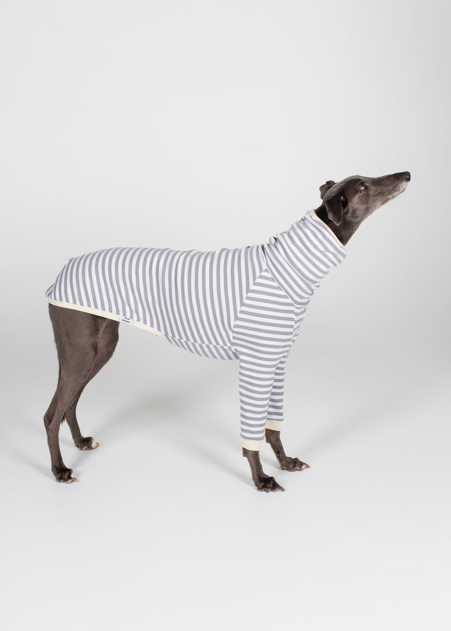Greyhound Pyjama Jumper - Liquorice