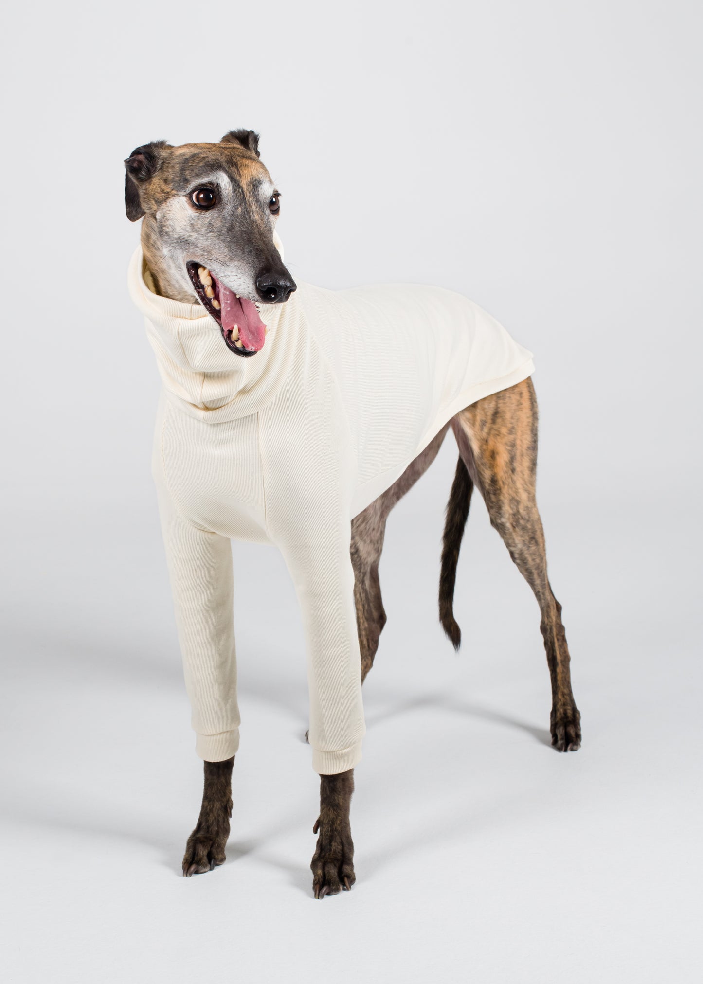 Greyhound Rib Jumper - Ivory
