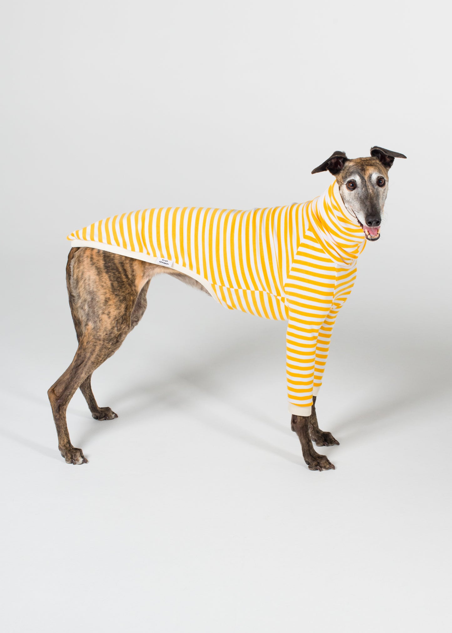 Greyhound Pyjama Jumper - Banana
