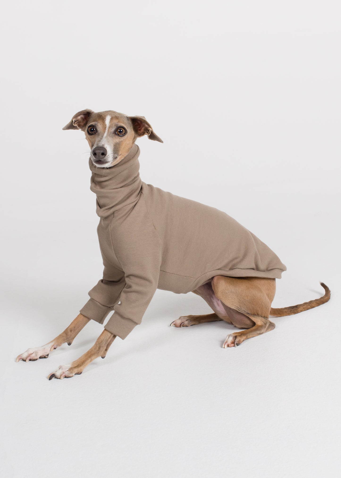 Italian Greyhound Rib Jumper - Truffle
