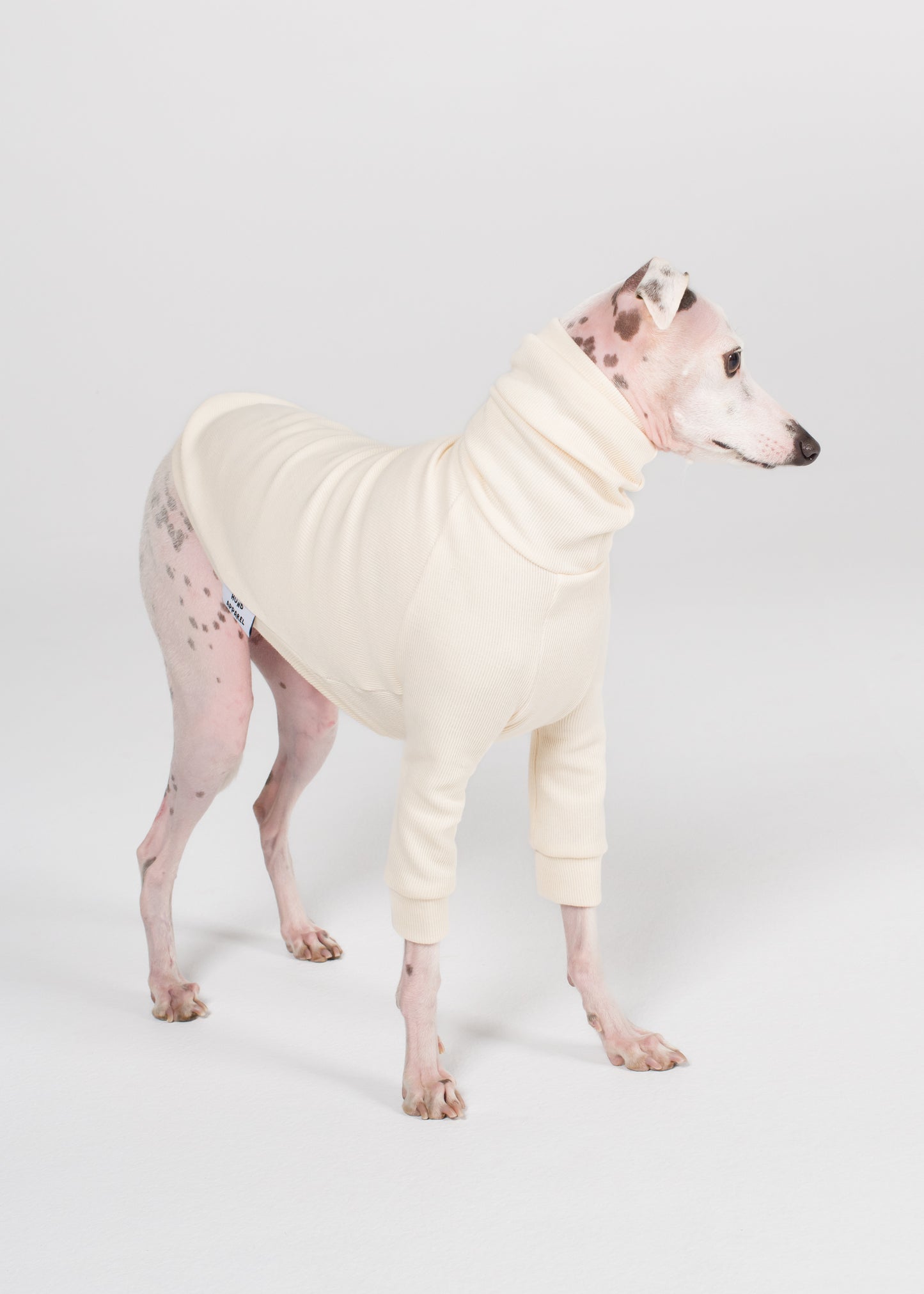 Italian Greyhound Rib Jumper - Ivory