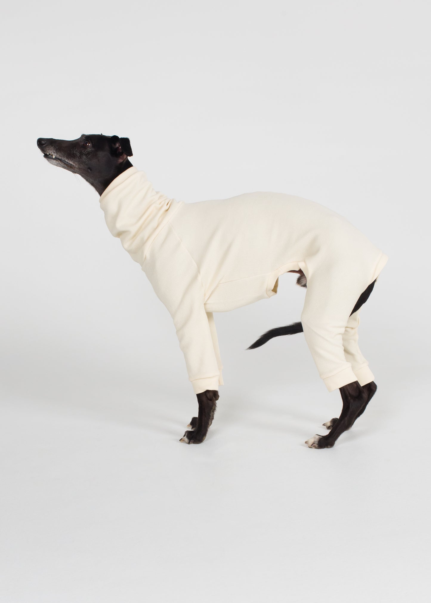 Whippet Rib Full Suit - Ivory