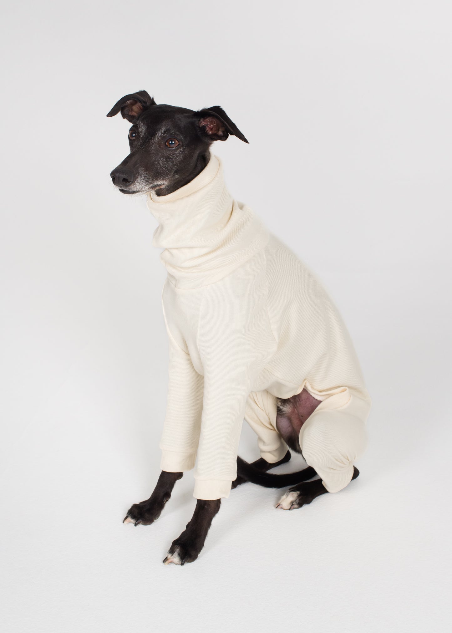 Whippet Rib Full Suit - Ivory