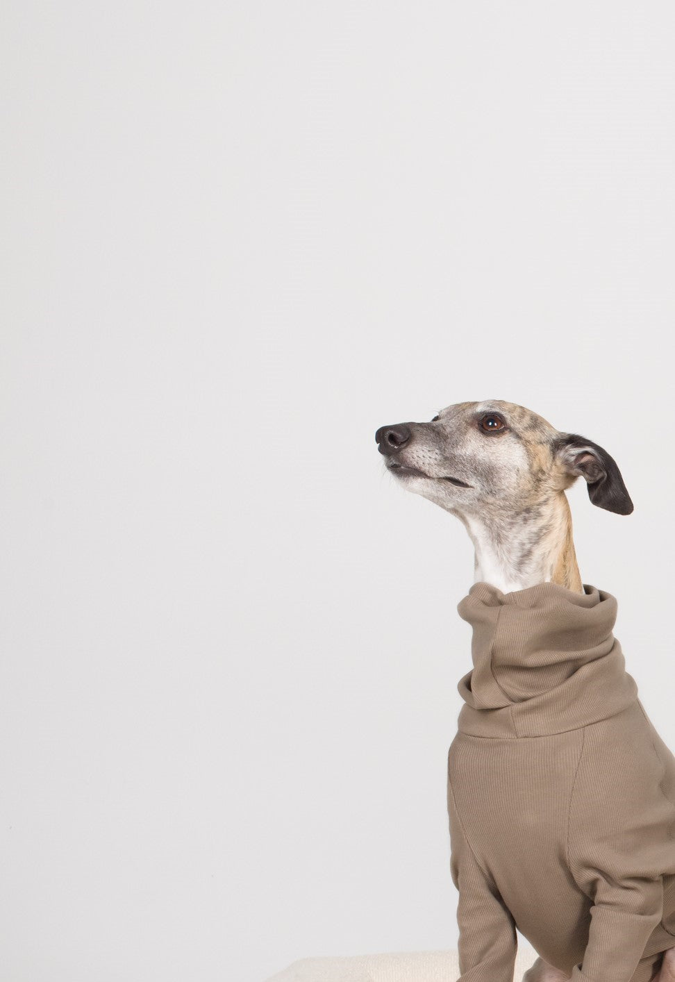 Whippet Rib Full Suit - Truffle
