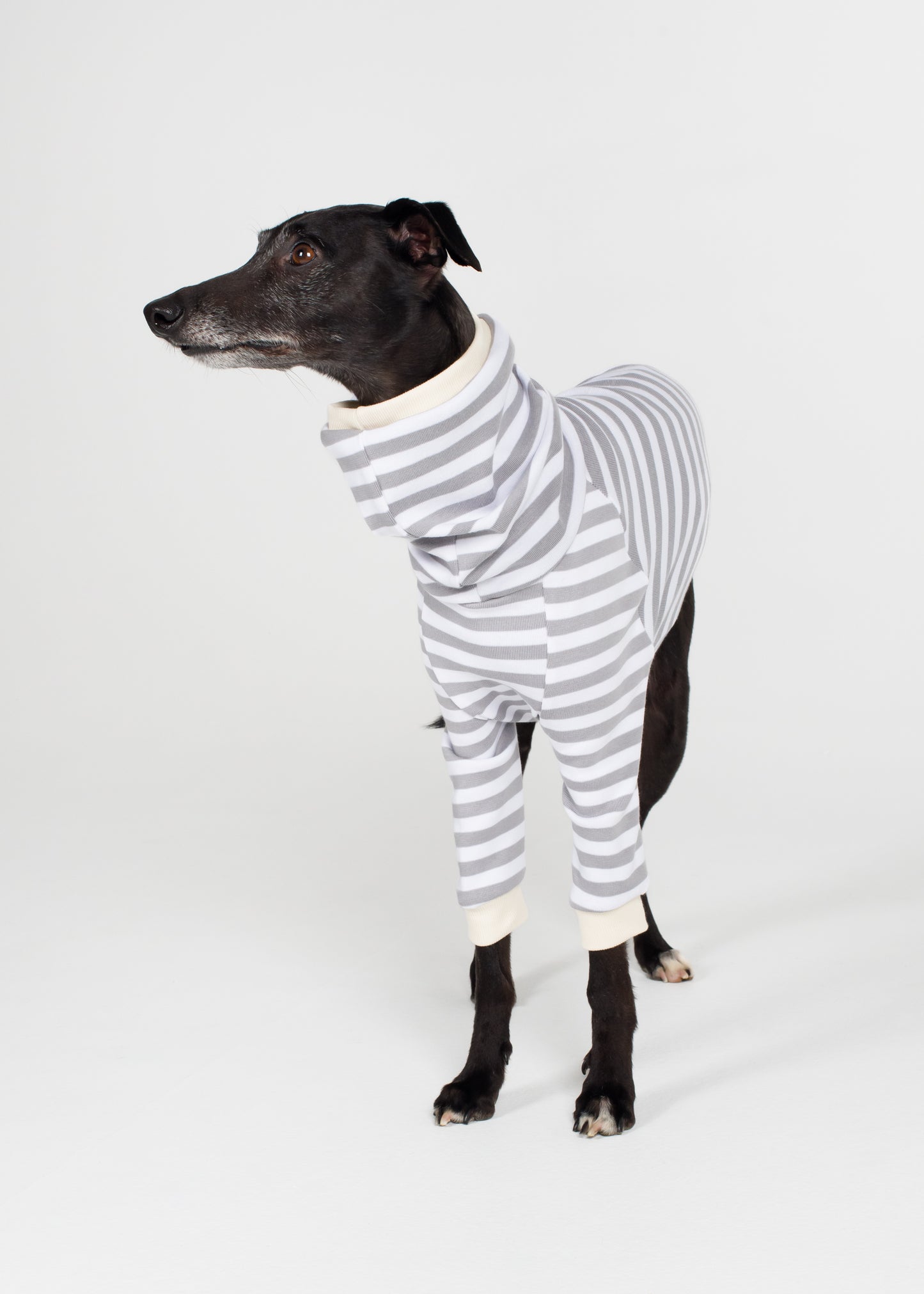Whippet Pyjama Jumper - Liquorice