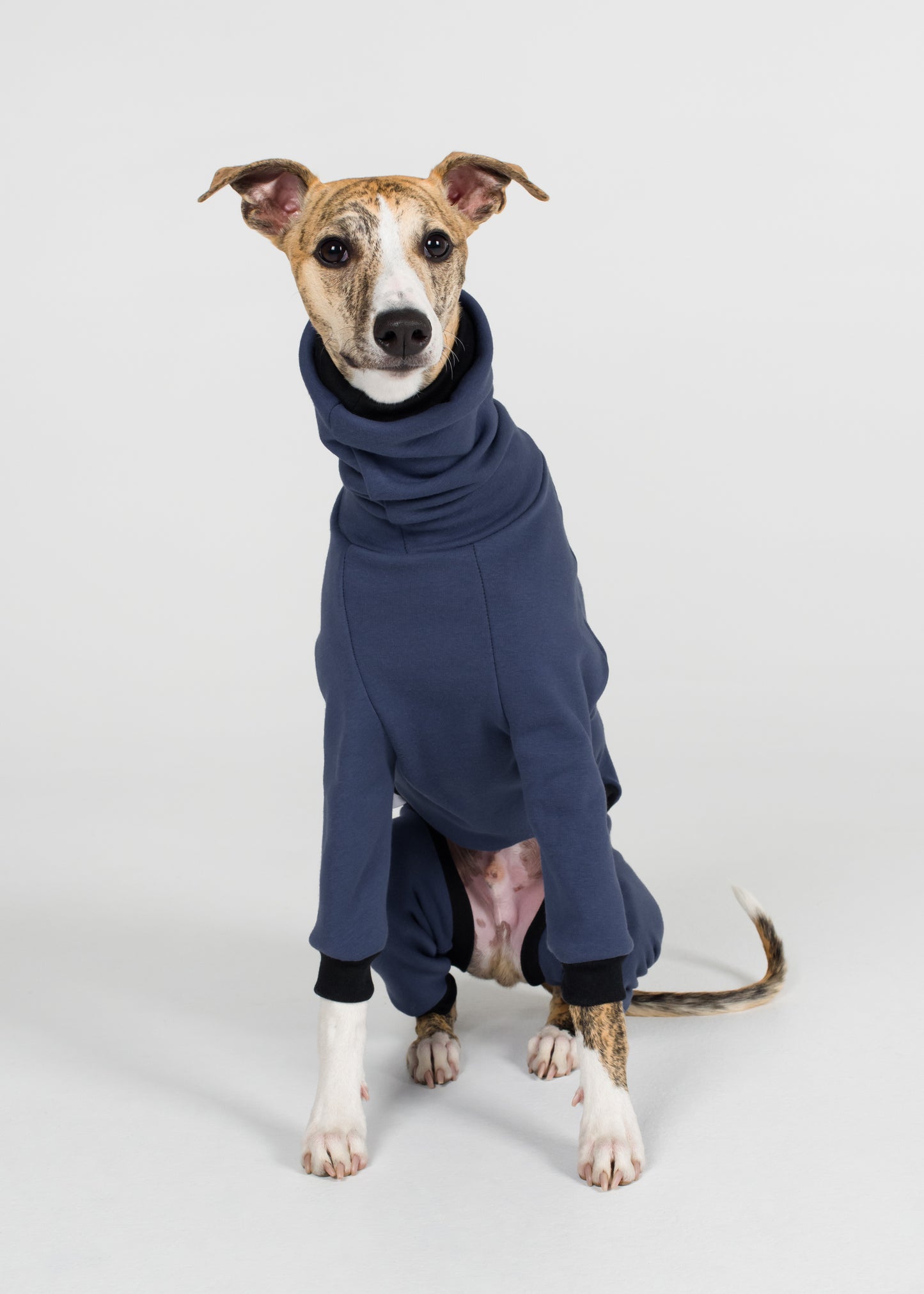 Whippet Winter Full Suit - Jeans