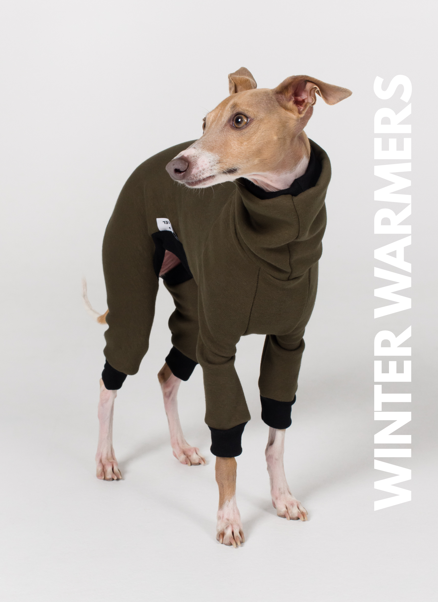 Italian Greyhound - Winter Warmers