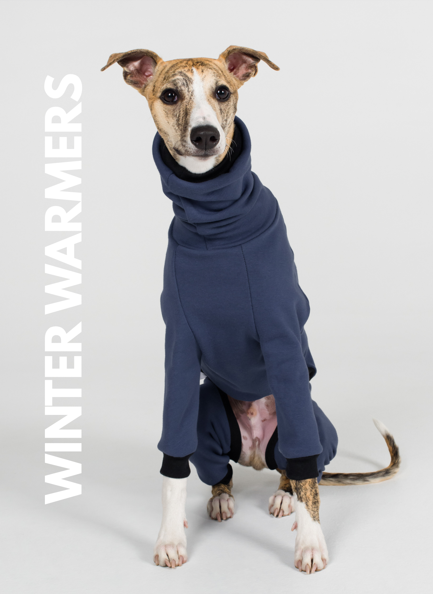Whippets - Winter Warmers