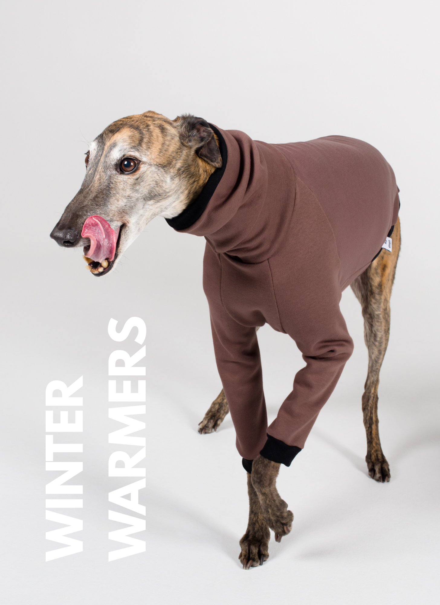 Greyhound - Winter Warmers