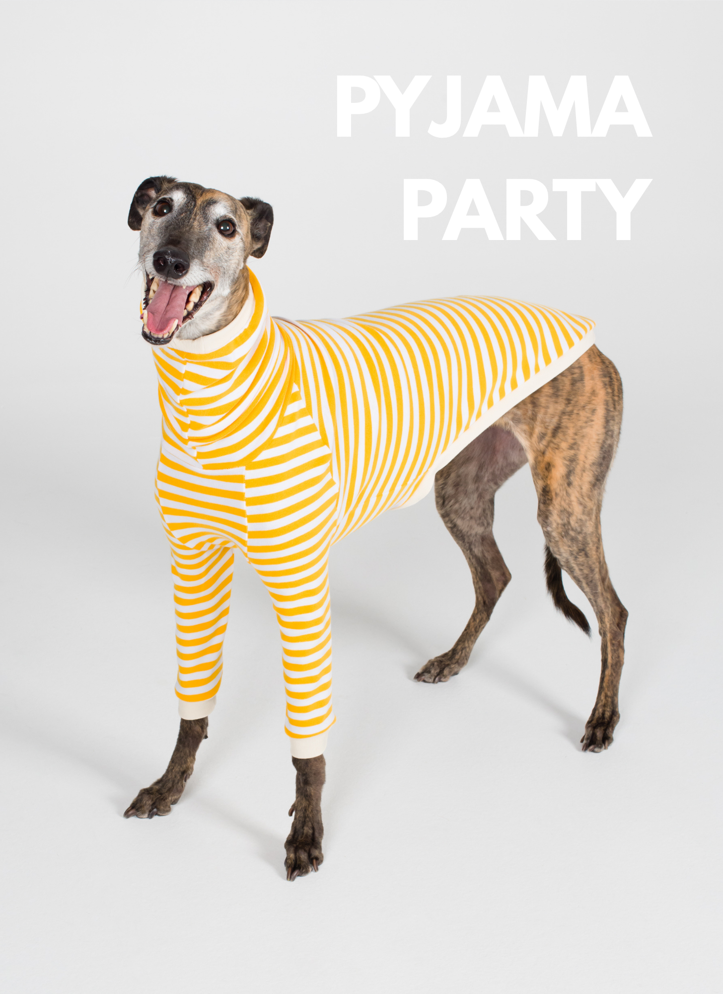 Greyhounds - Pyjama Party