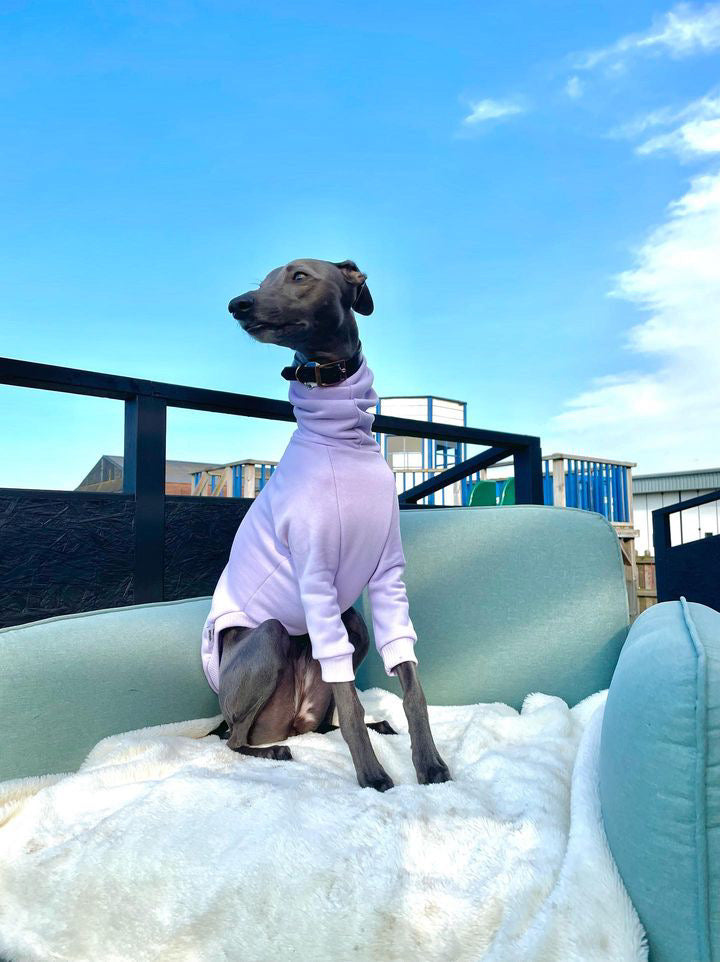 Whippet Thick Cotton Jumper | Lilac