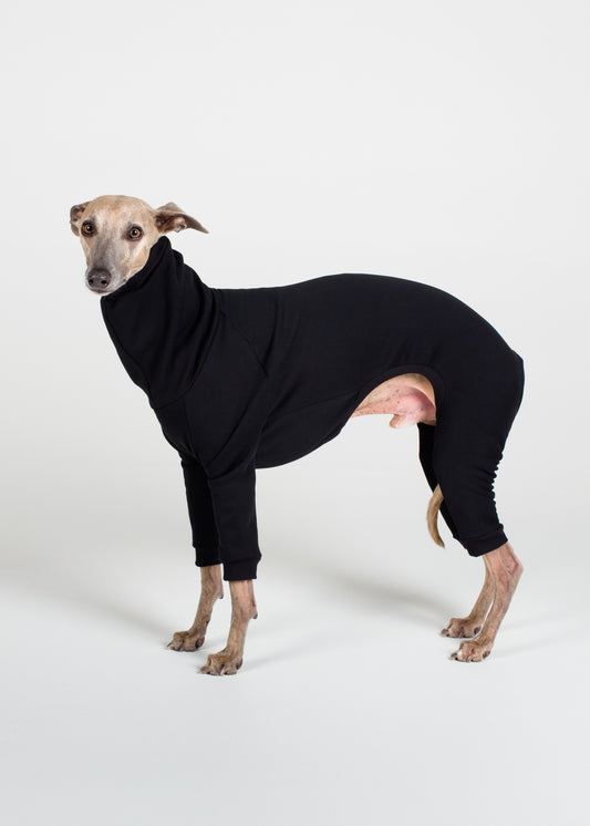 Whippet Thick Cotton Full Suit | Black