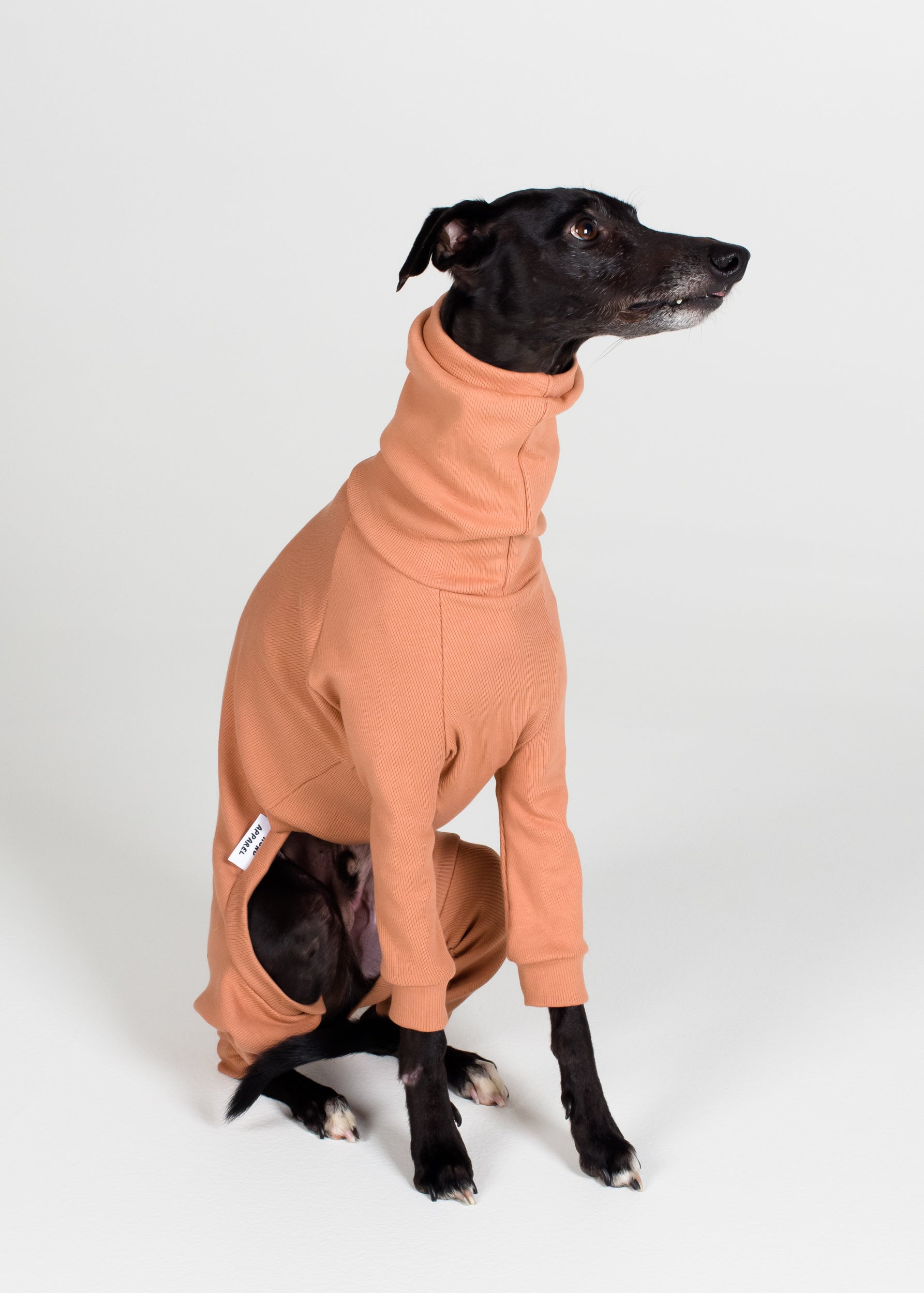 Whippet Rib Full Suit Clay Hund Apparel