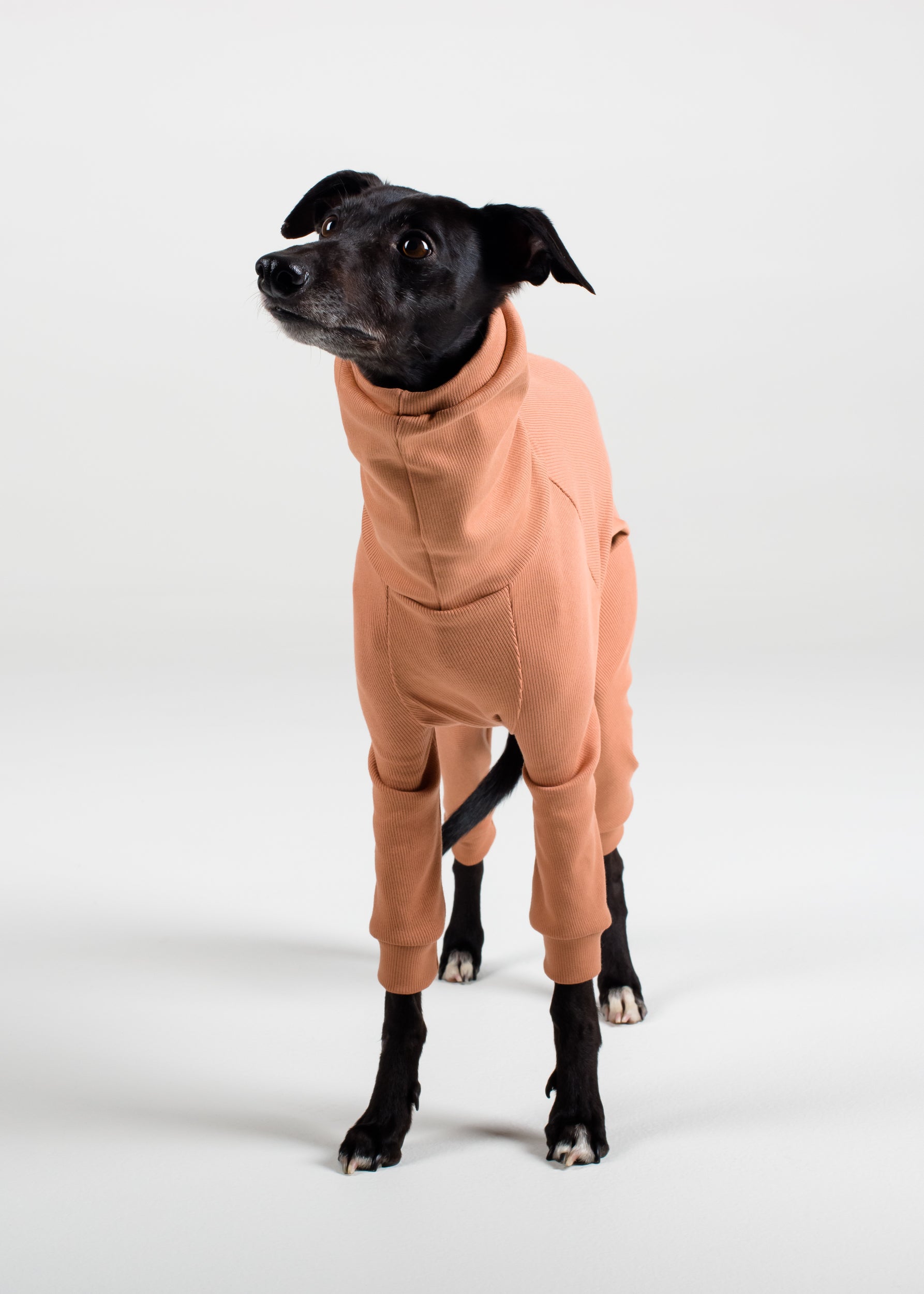 Whippet Rib Full Suit Clay Hund Apparel