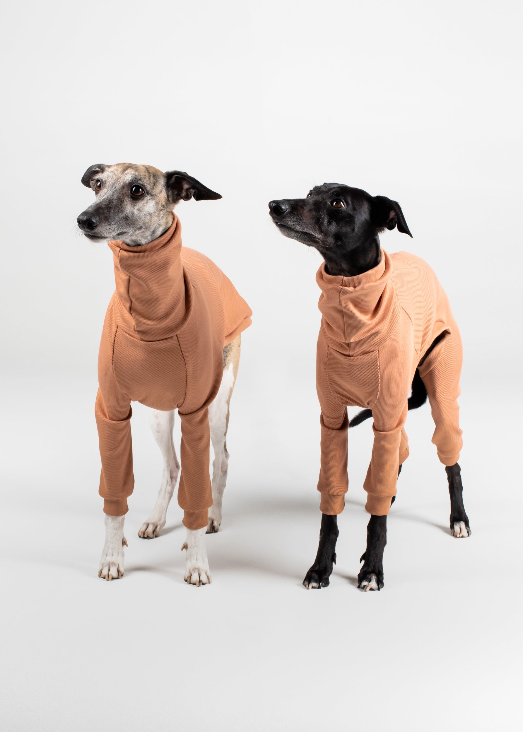 Whippet Rib Full Suit Clay Hund Apparel