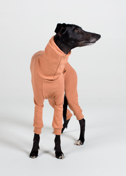 Whippet Rib Full Suit | Clay