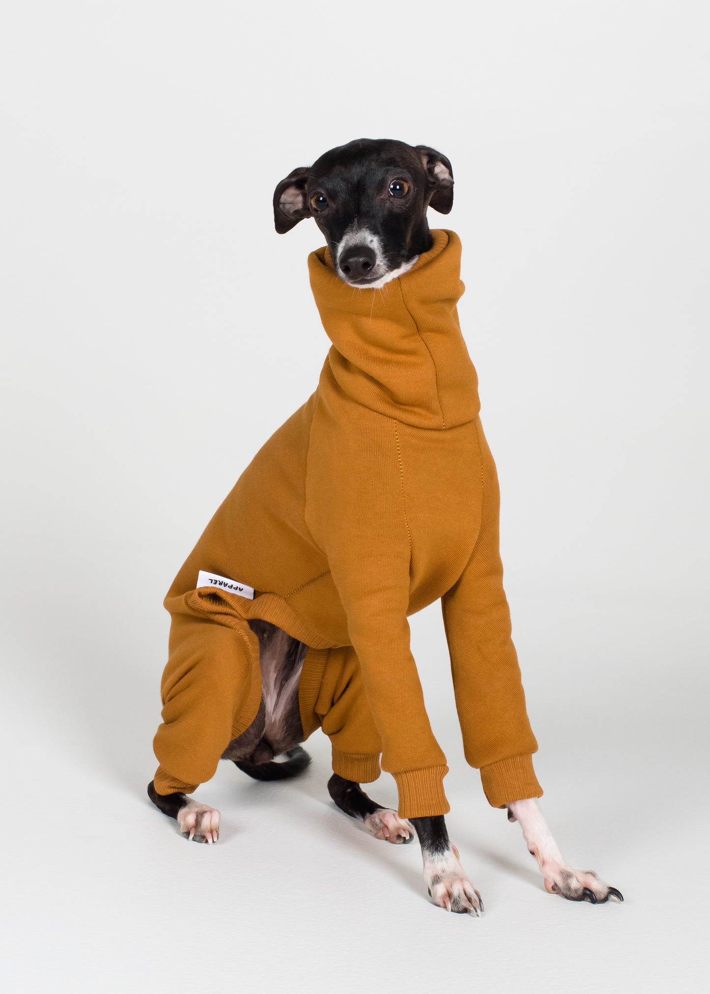 Italian Greyhound Thick Cotton Full Suit | Mustard