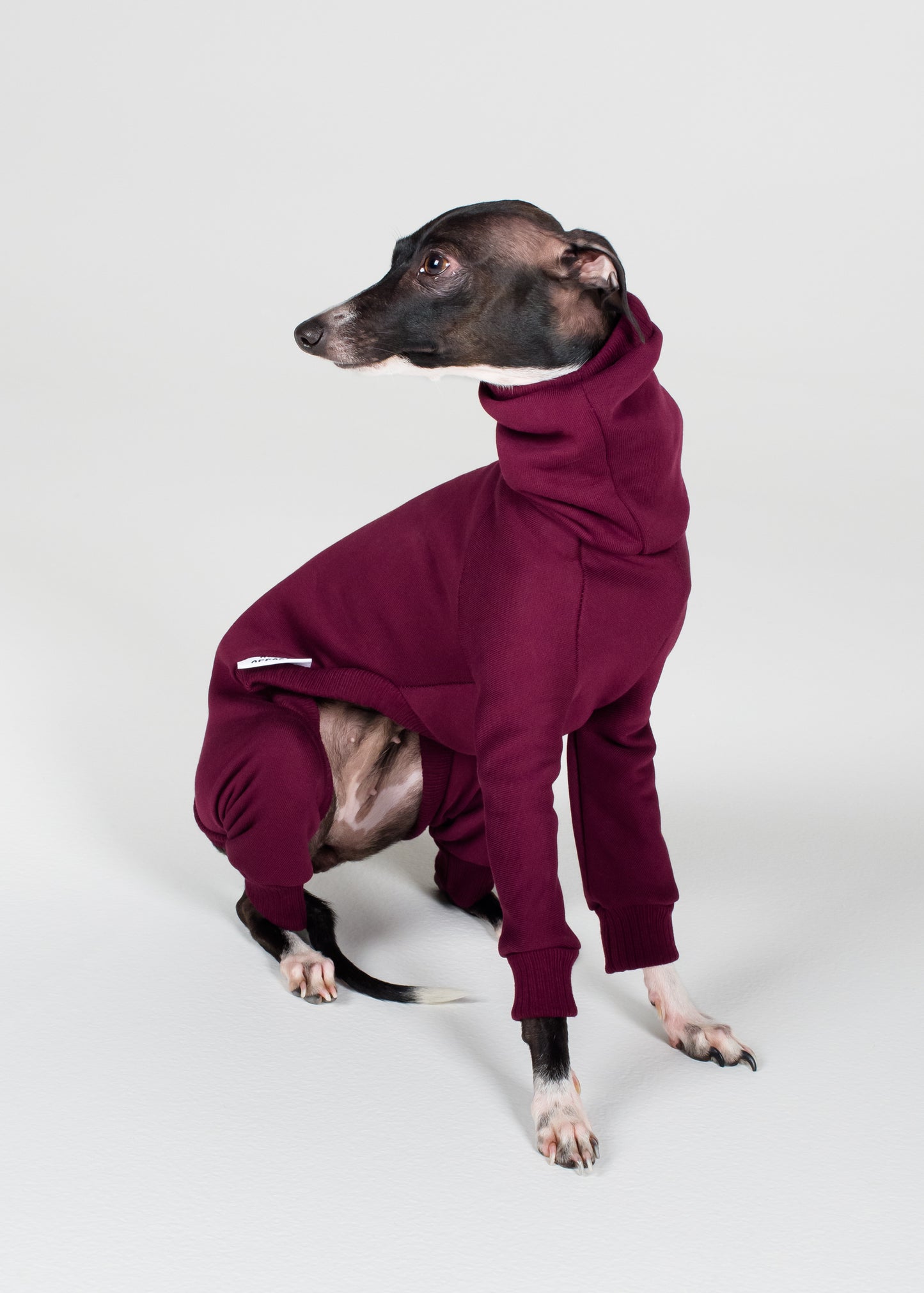 Italian Greyhound Thick Cotton Full Suit | Wine