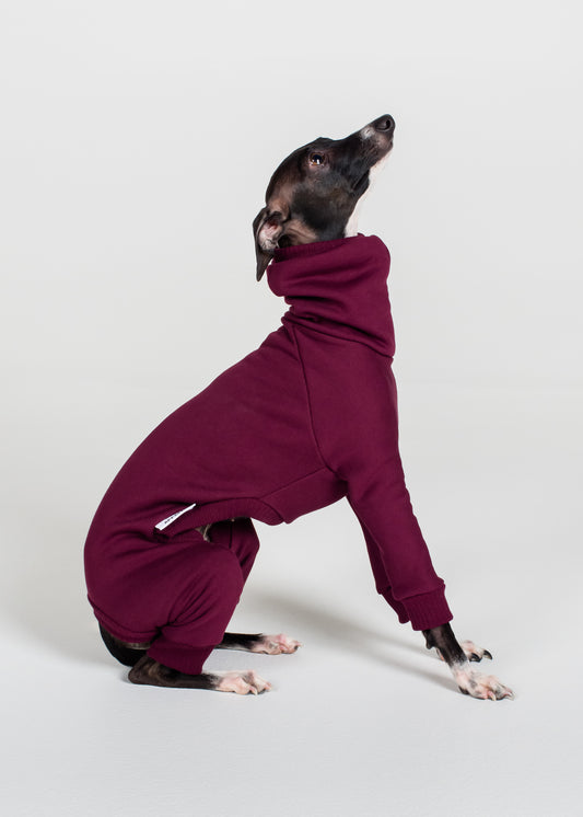 Italian Greyhound Thick Cotton Full Suit | Wine