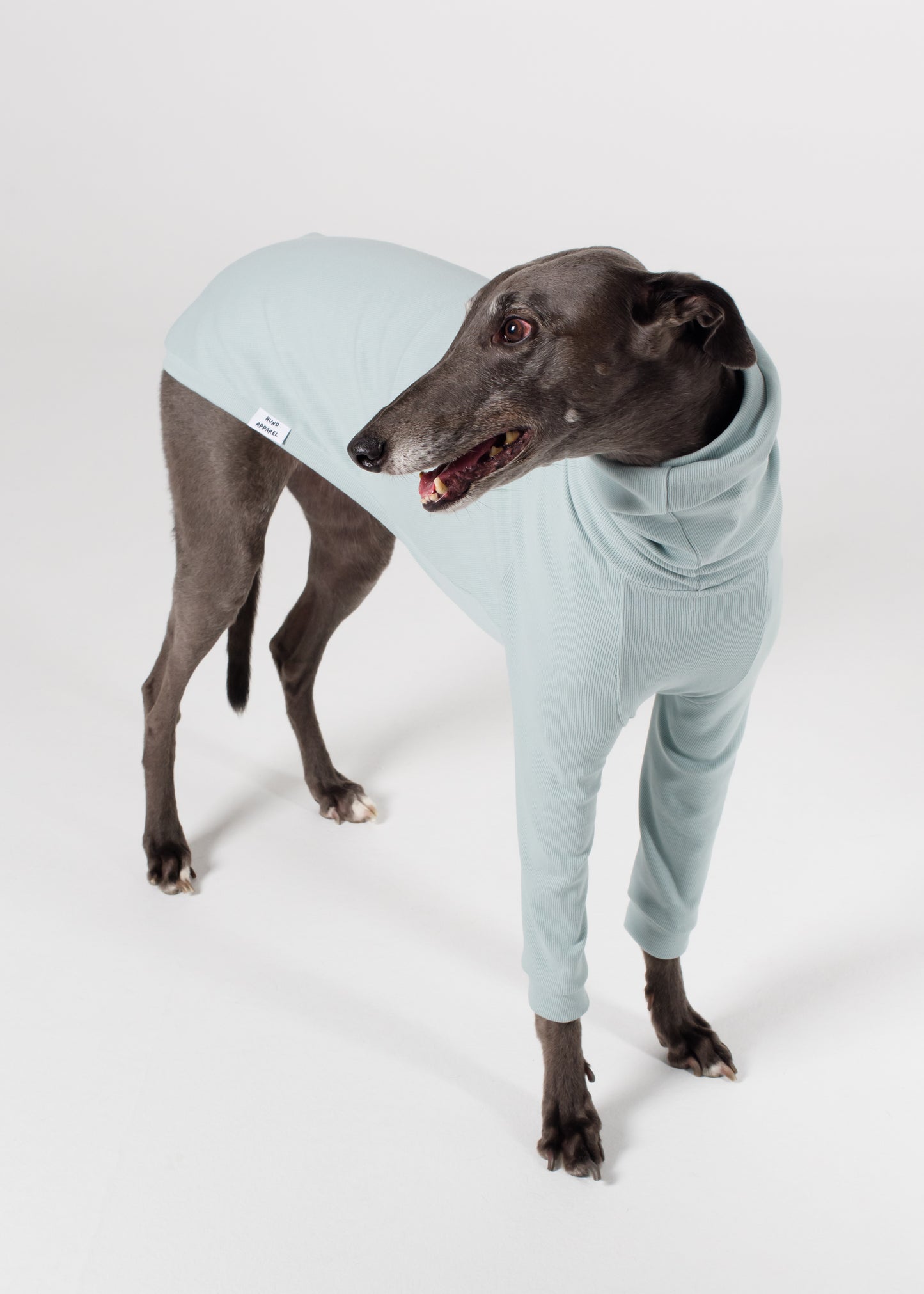 Greyhound Rib Jumper - Sky