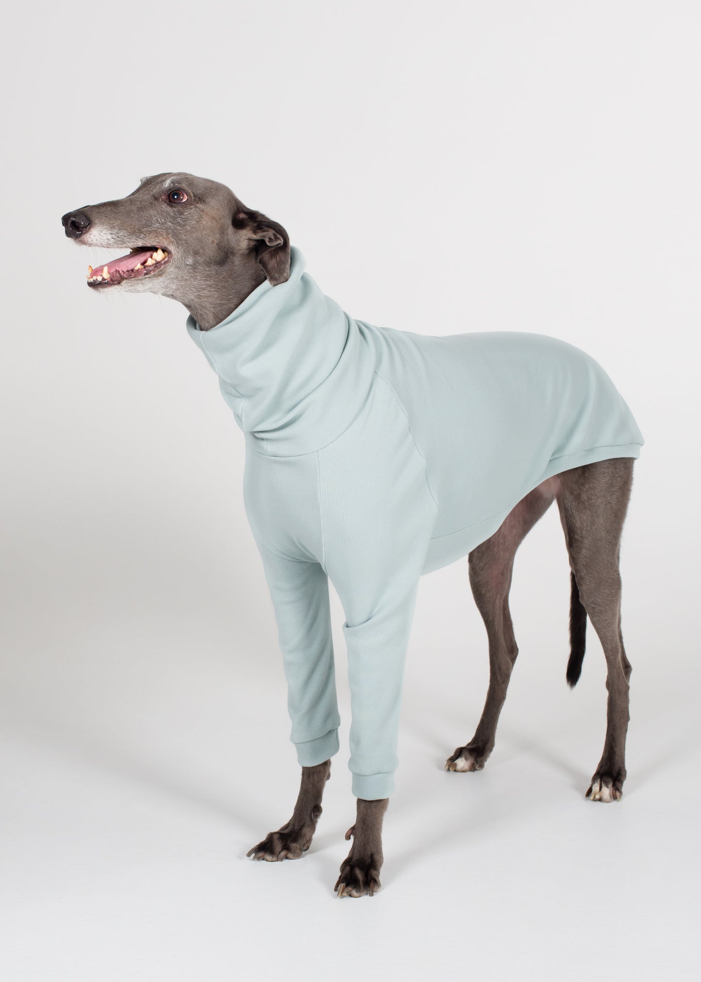 Greyhound Rib Jumper - Sky