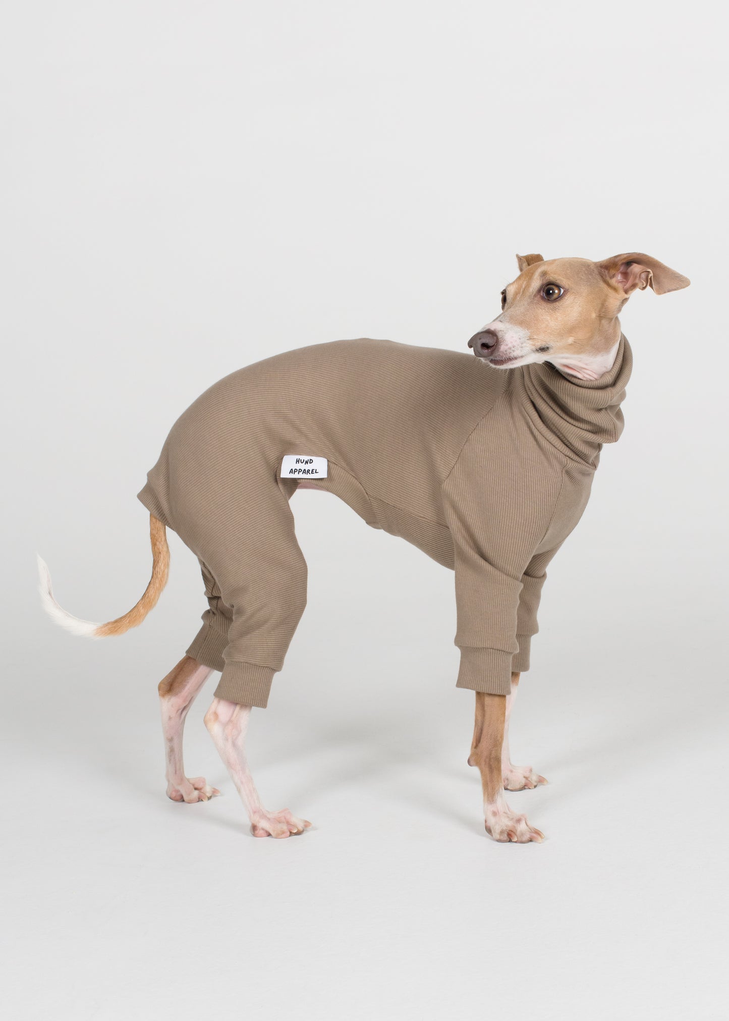 Italian Greyhound Rib Full Suit - Truffle
