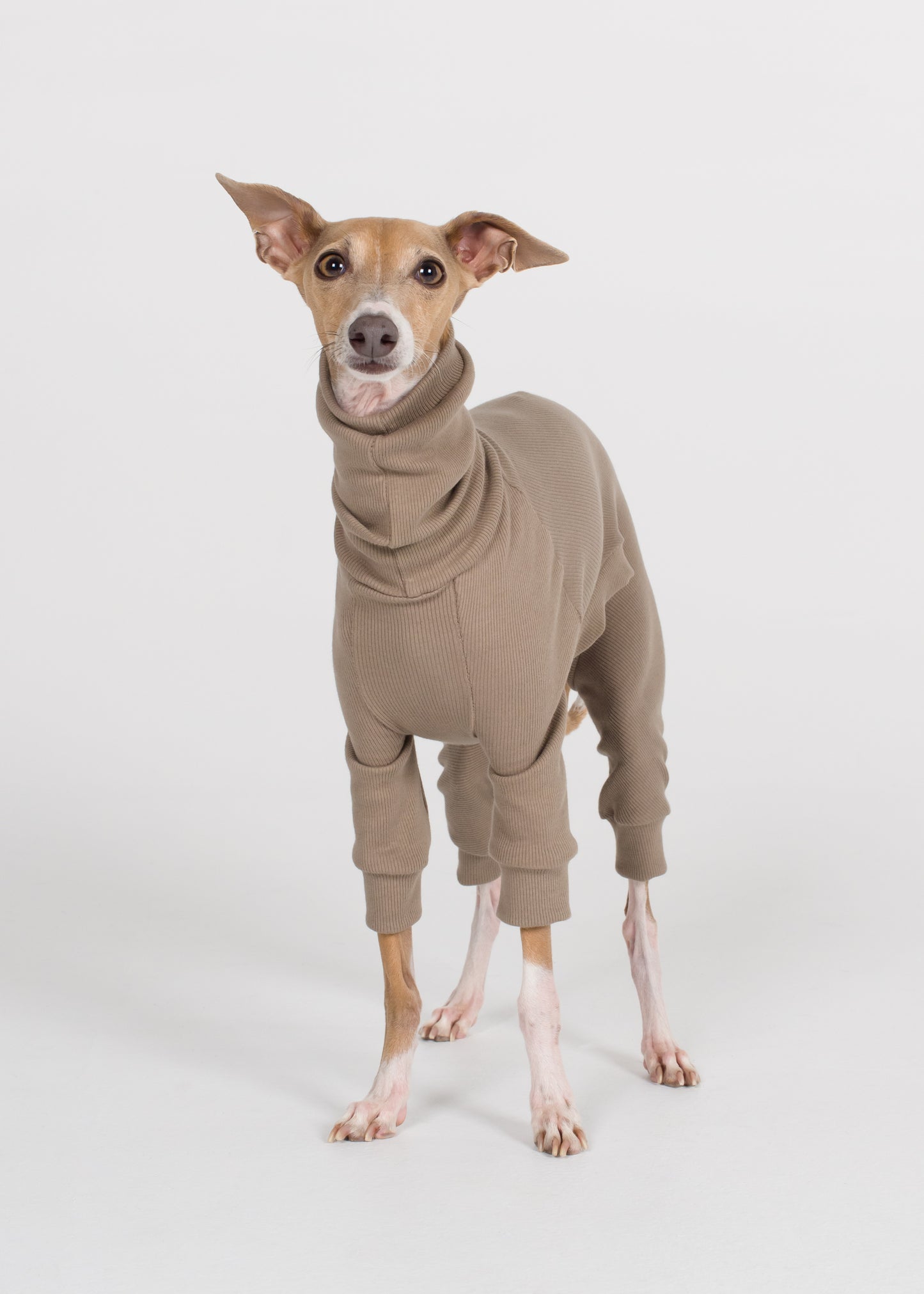 Italian Greyhound Rib Full Suit - Truffle