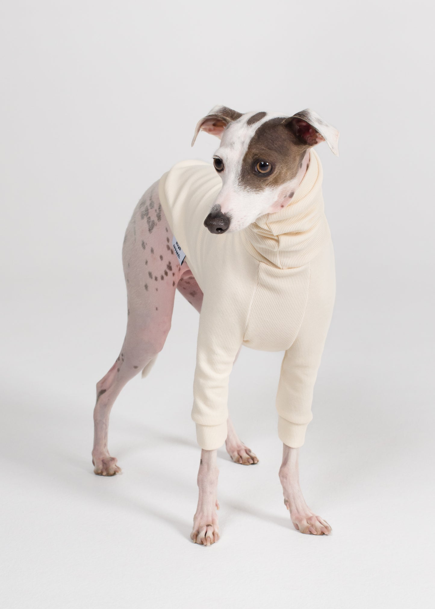 Italian Greyhound Rib Jumper - Ivory
