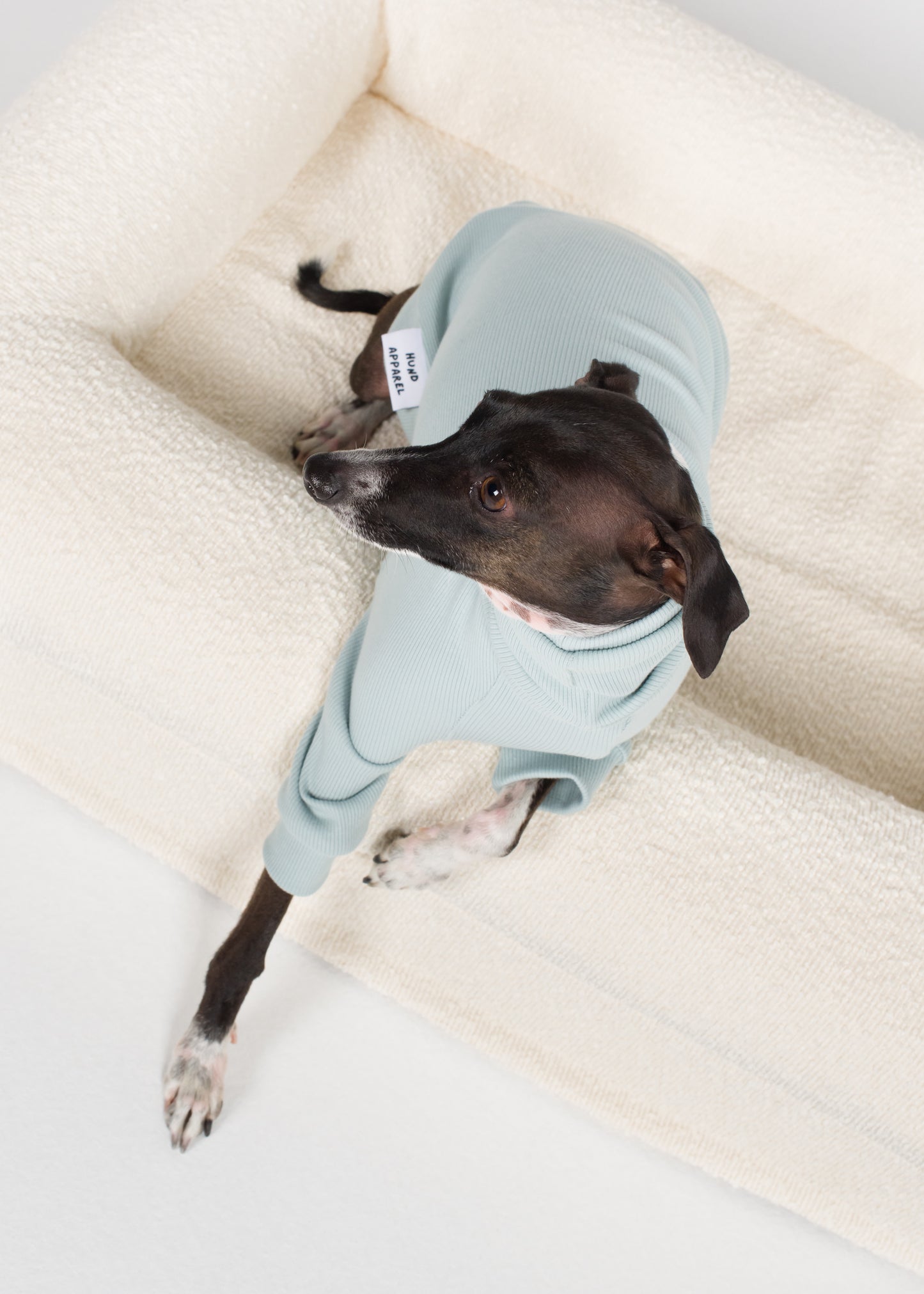 Italian Greyhound Rib Jumper - Sky