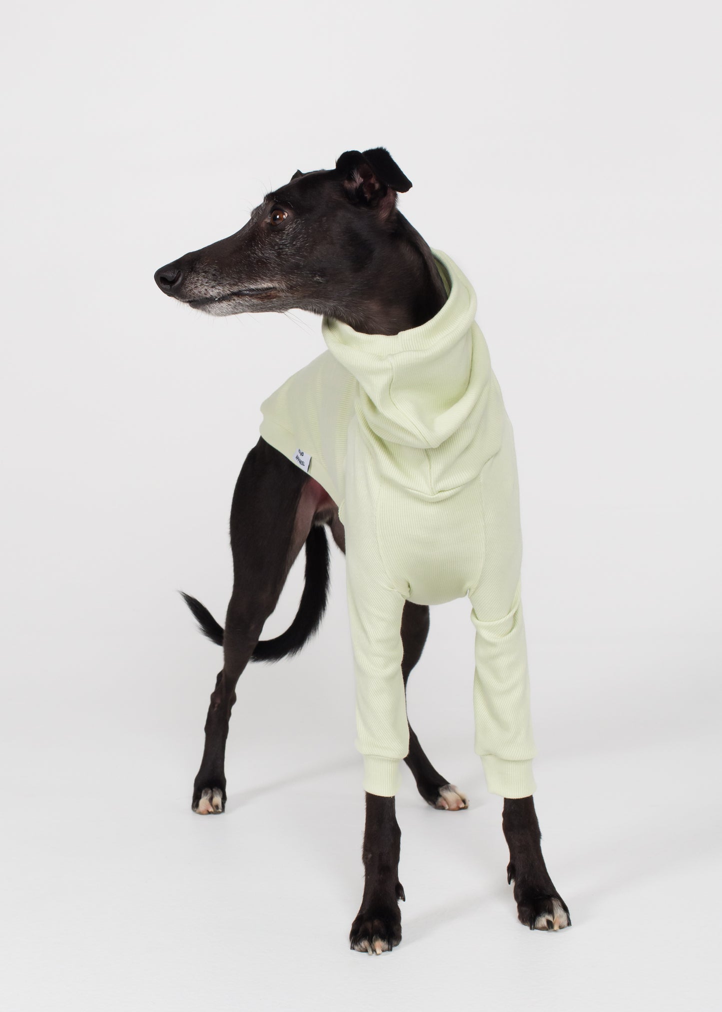 Whippet Rib Jumper - Melon