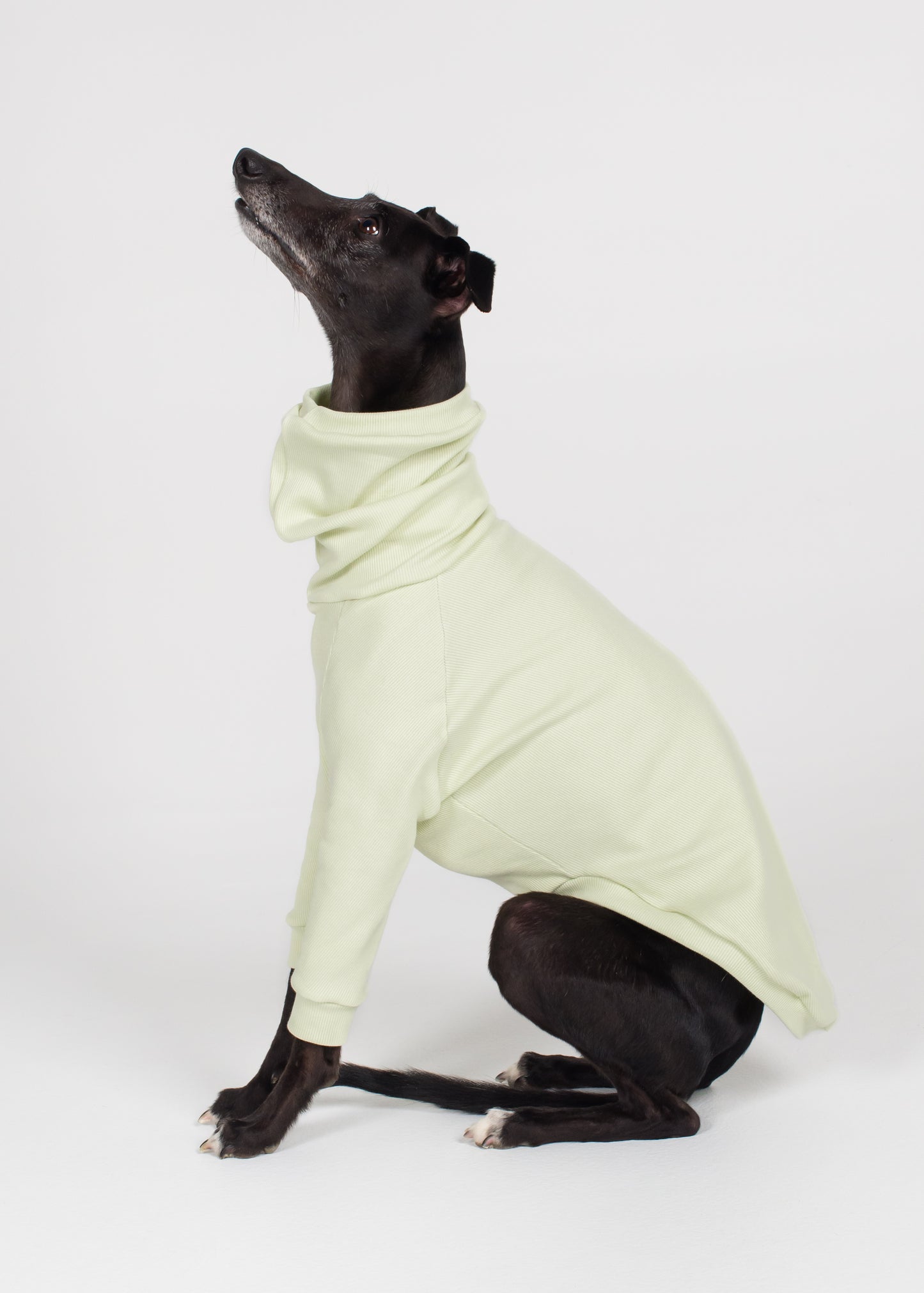 Whippet Rib Jumper - Melon