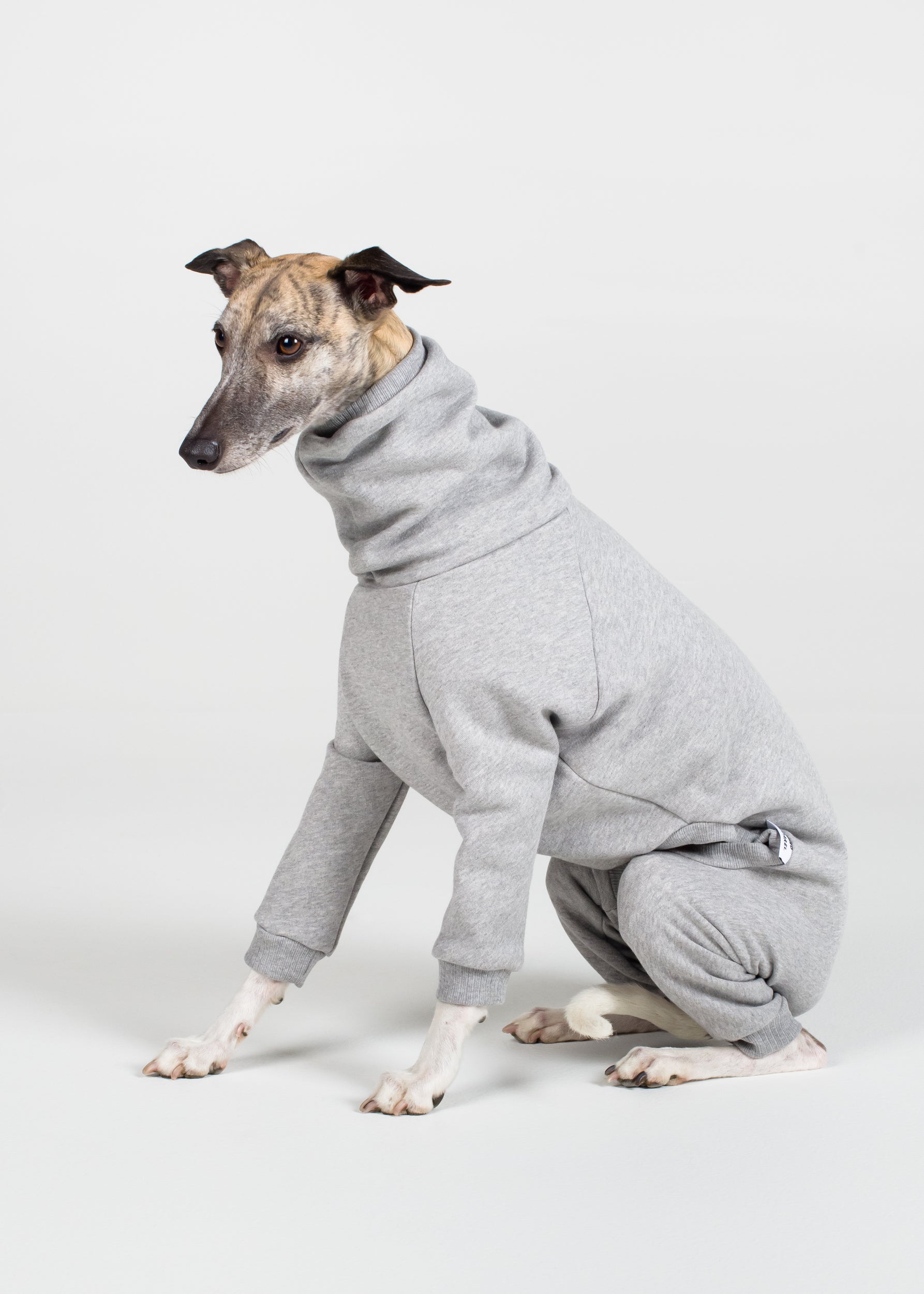 Whippet Thick Cotton Full Suit Light Grey Hund Apparel