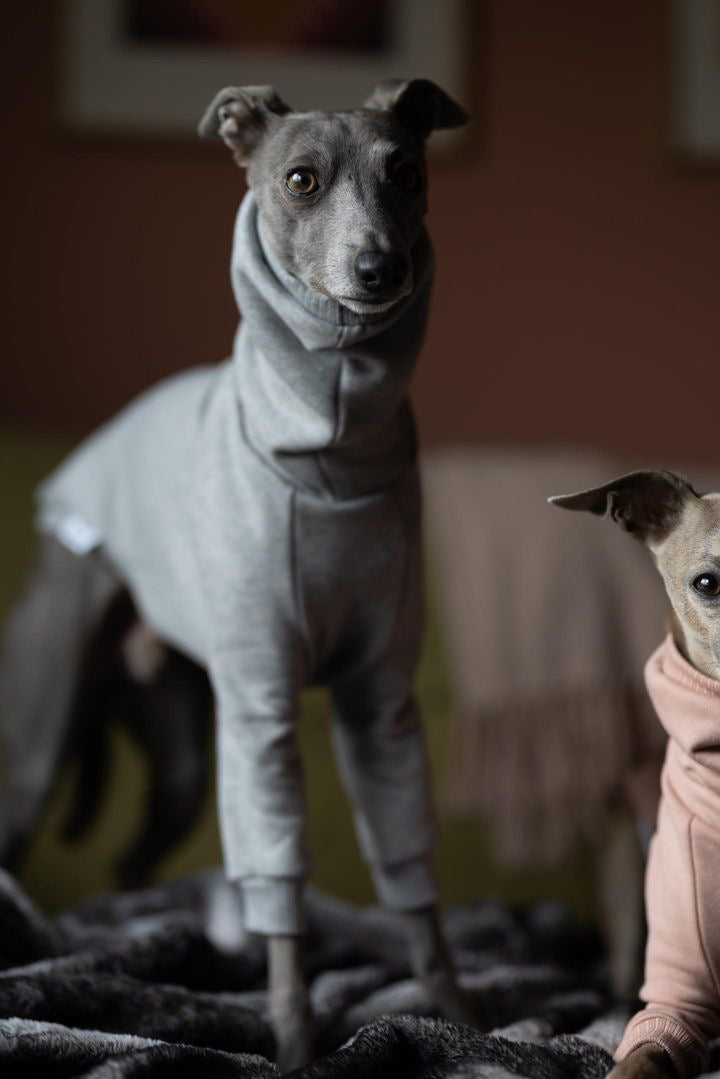 Whippet Thick Cotton Jumper | Light Grey