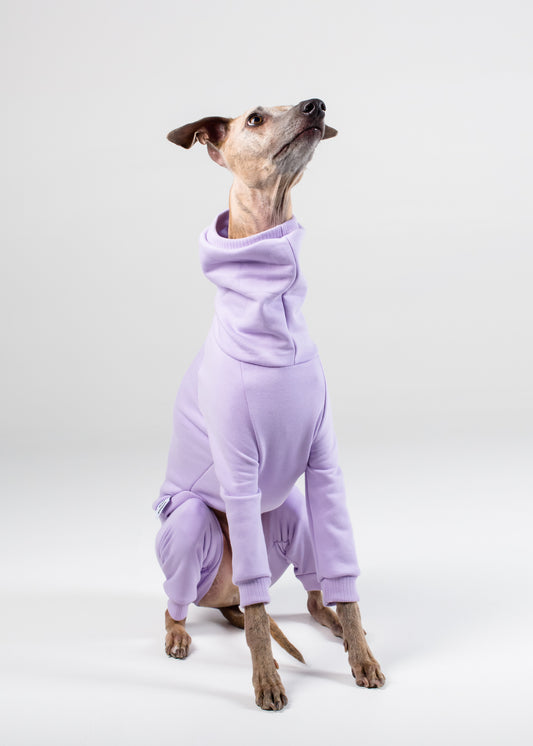 Whippet Thick Cotton Full Suit | Lilac