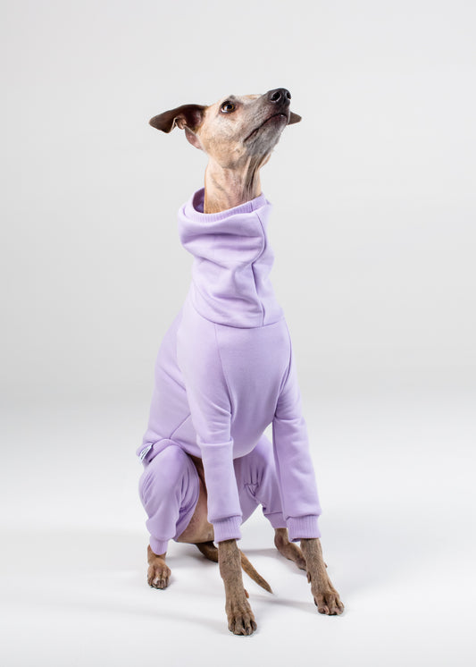 Whippets Full Suits Hund Apparel
