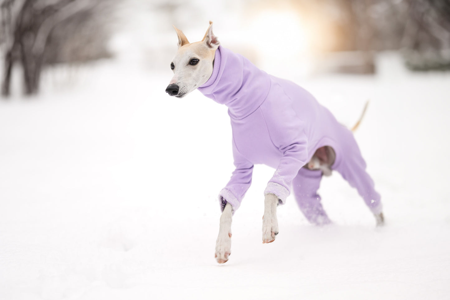 Whippet Thick Cotton Full Suit | Lilac