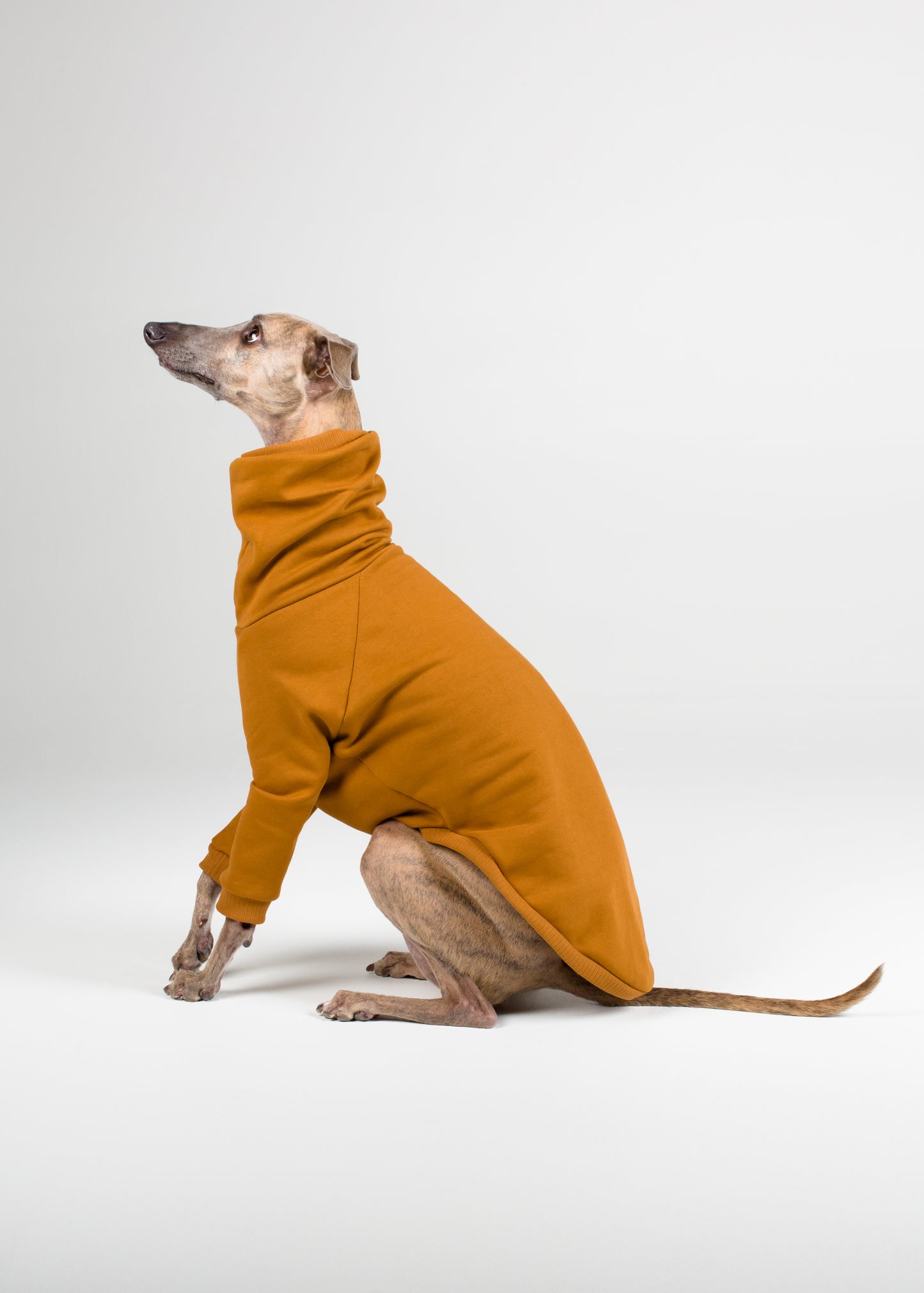 Whippet Thick Cotton Jumper | Mustard