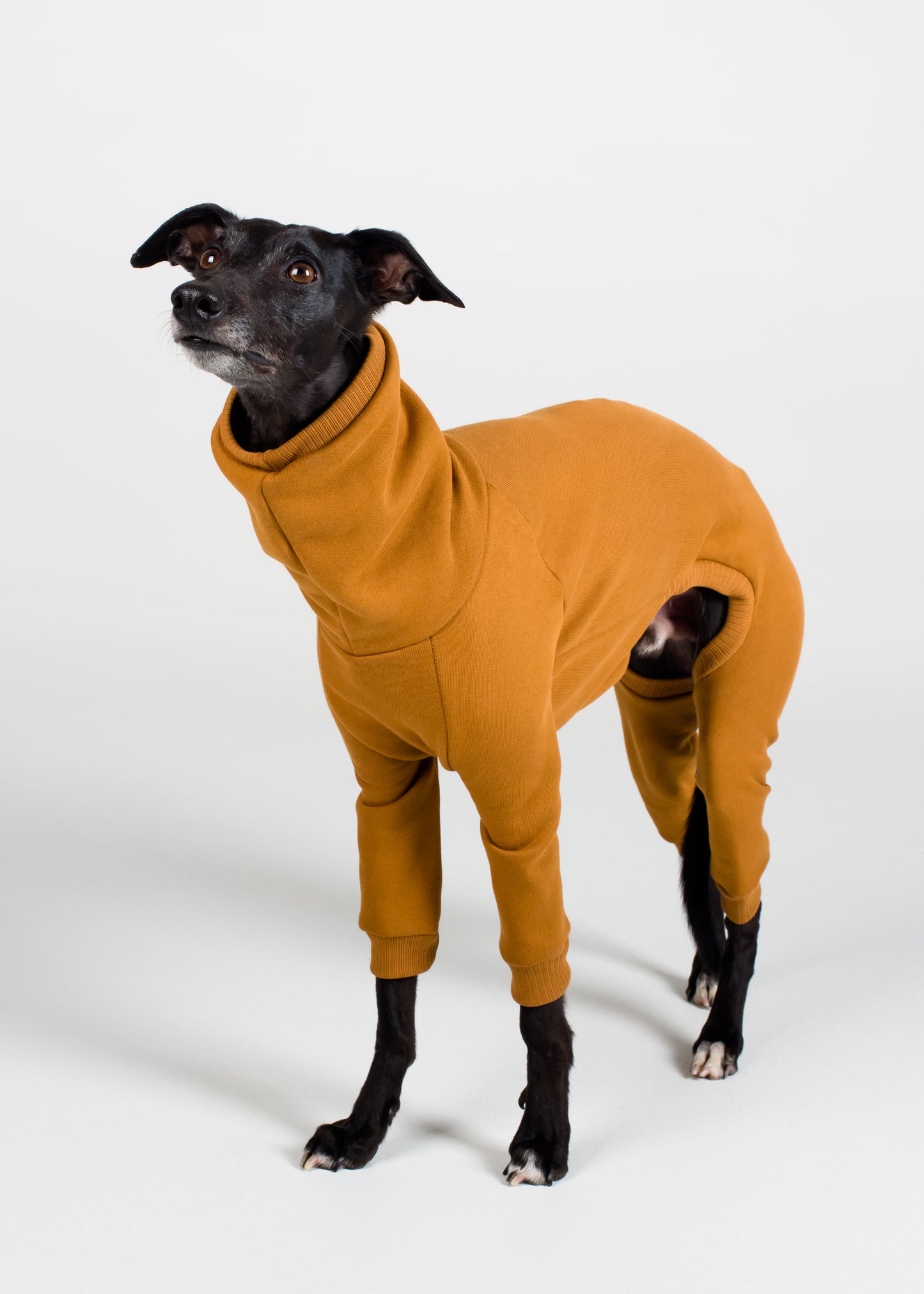 Whippet Thick Cotton Full Suit | Mustard