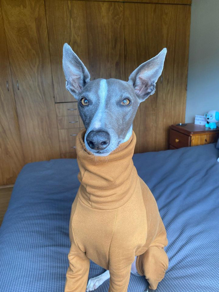 Whippet Thick Cotton Full Suit | Mustard
