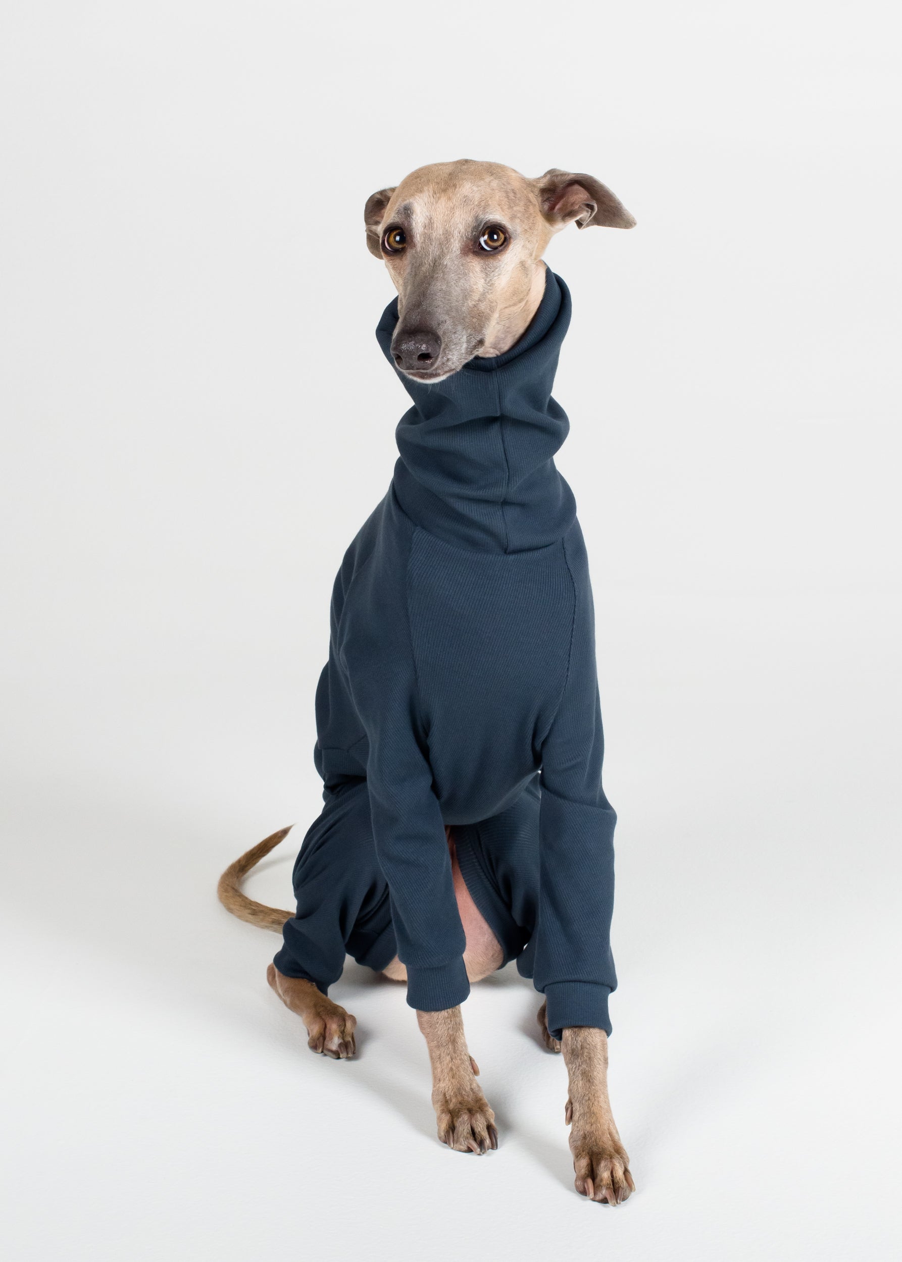 Whippet Rib Full Suit Ocean Hund Apparel