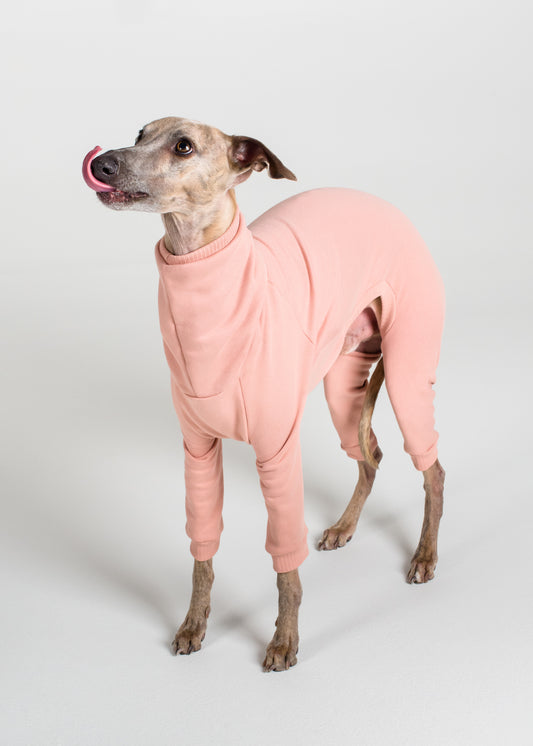Whippet Thick Cotton Full Suit | Rose Gold