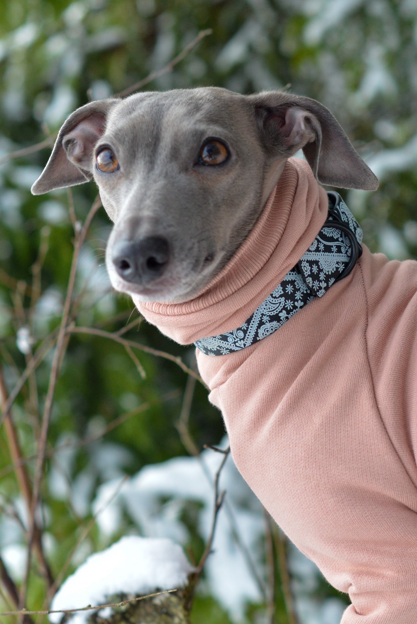 Whippet Thick Cotton Jumper | Rose Gold