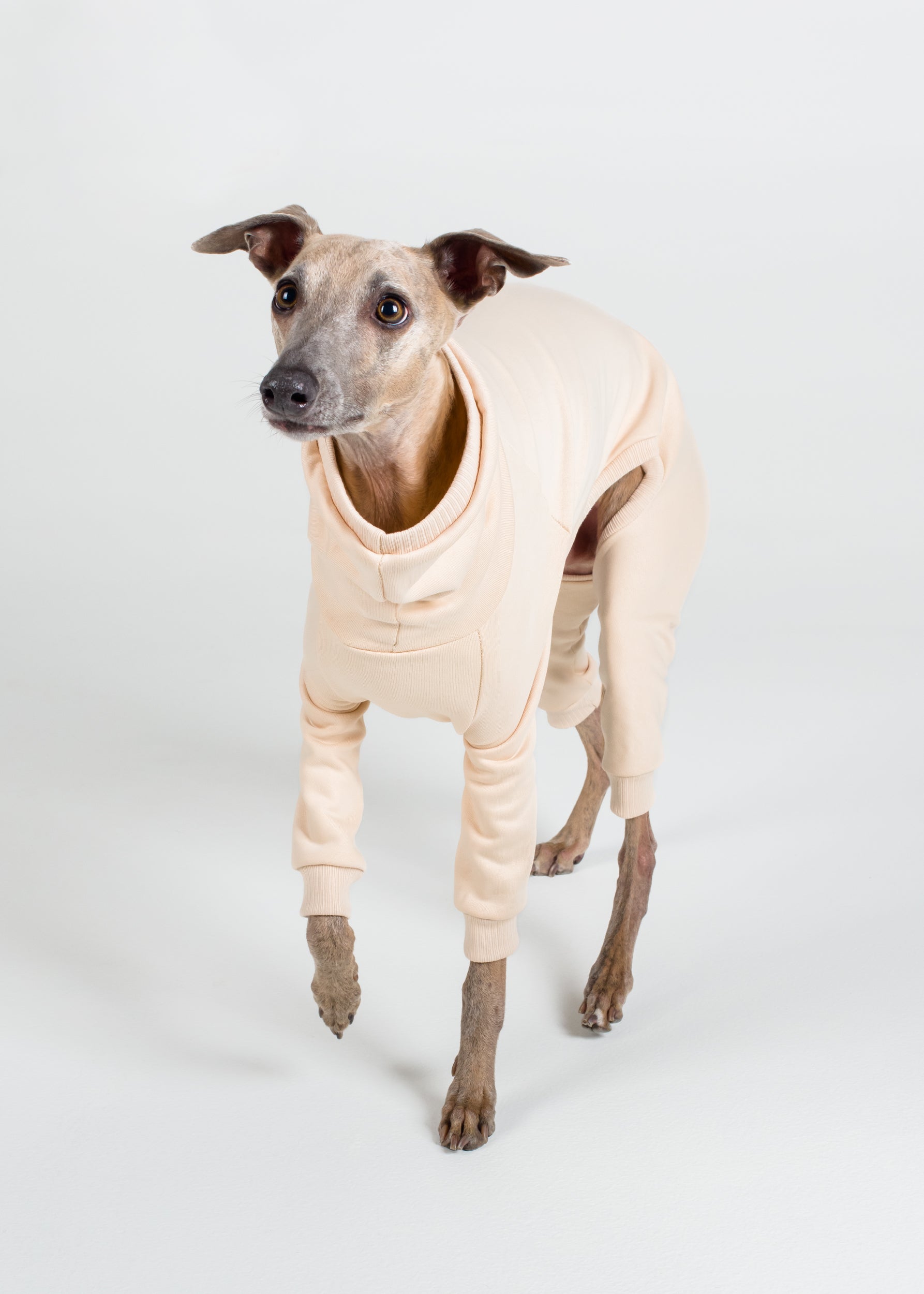 Whippet Thick Cotton Full Suit Vanilla Hund Apparel