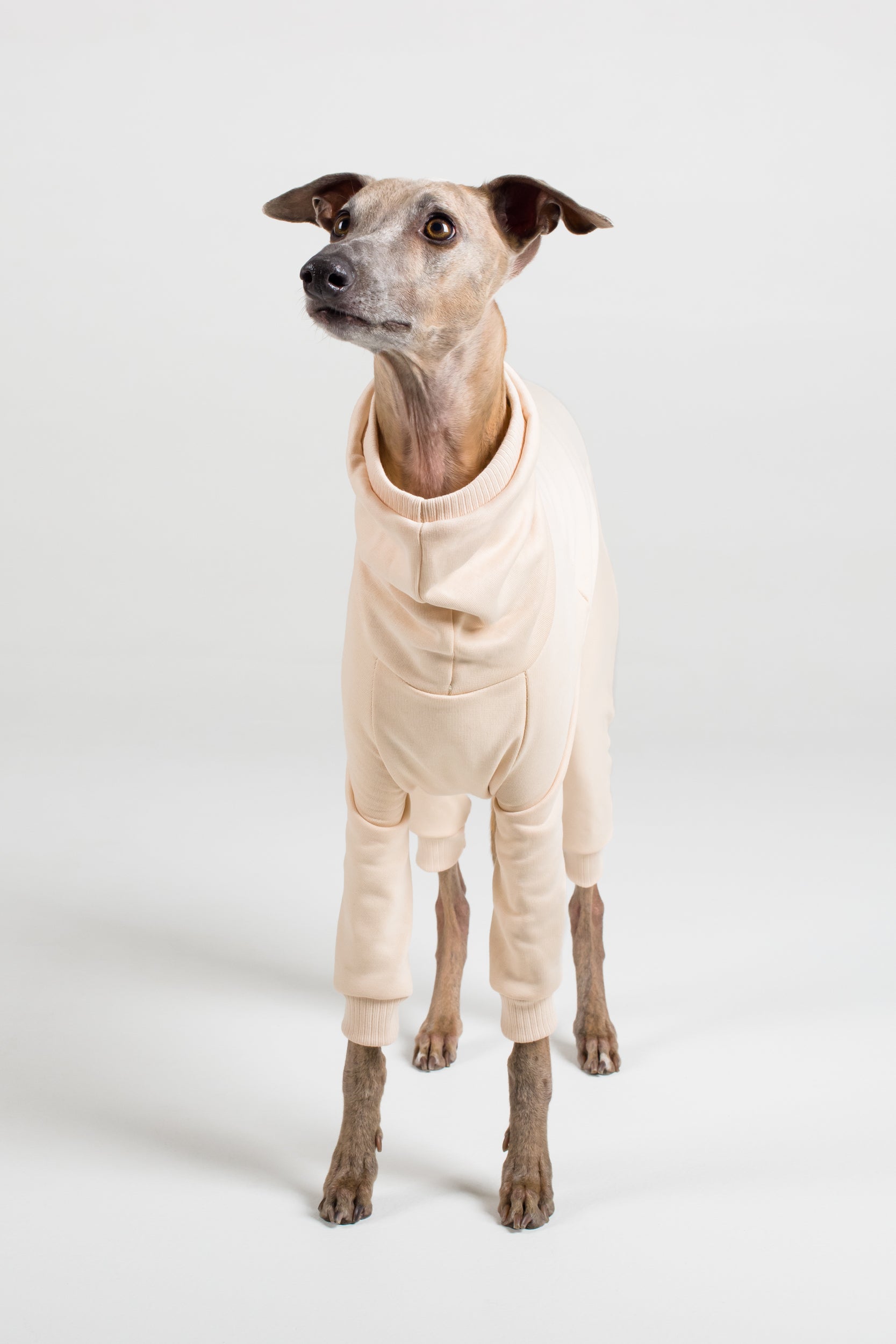 Whippet Thick Cotton Full Suit Vanilla Hund Apparel
