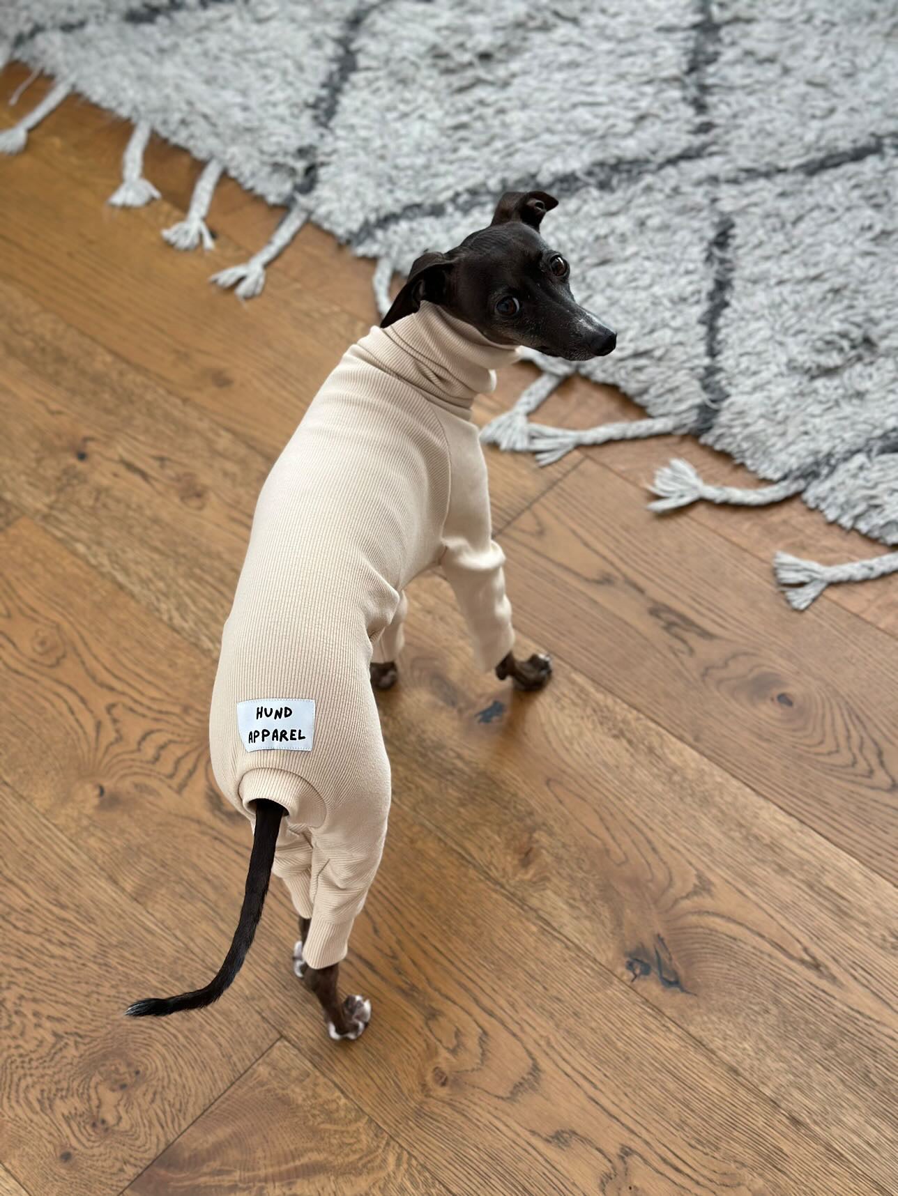 Italian Greyhound Rib Full Suit | Sand