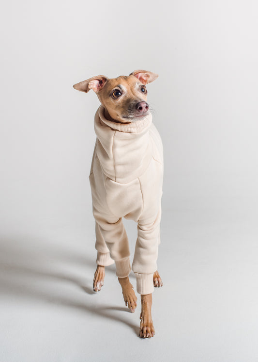 Italian Greyhound Thick Cotton Full Suit | Vanilla