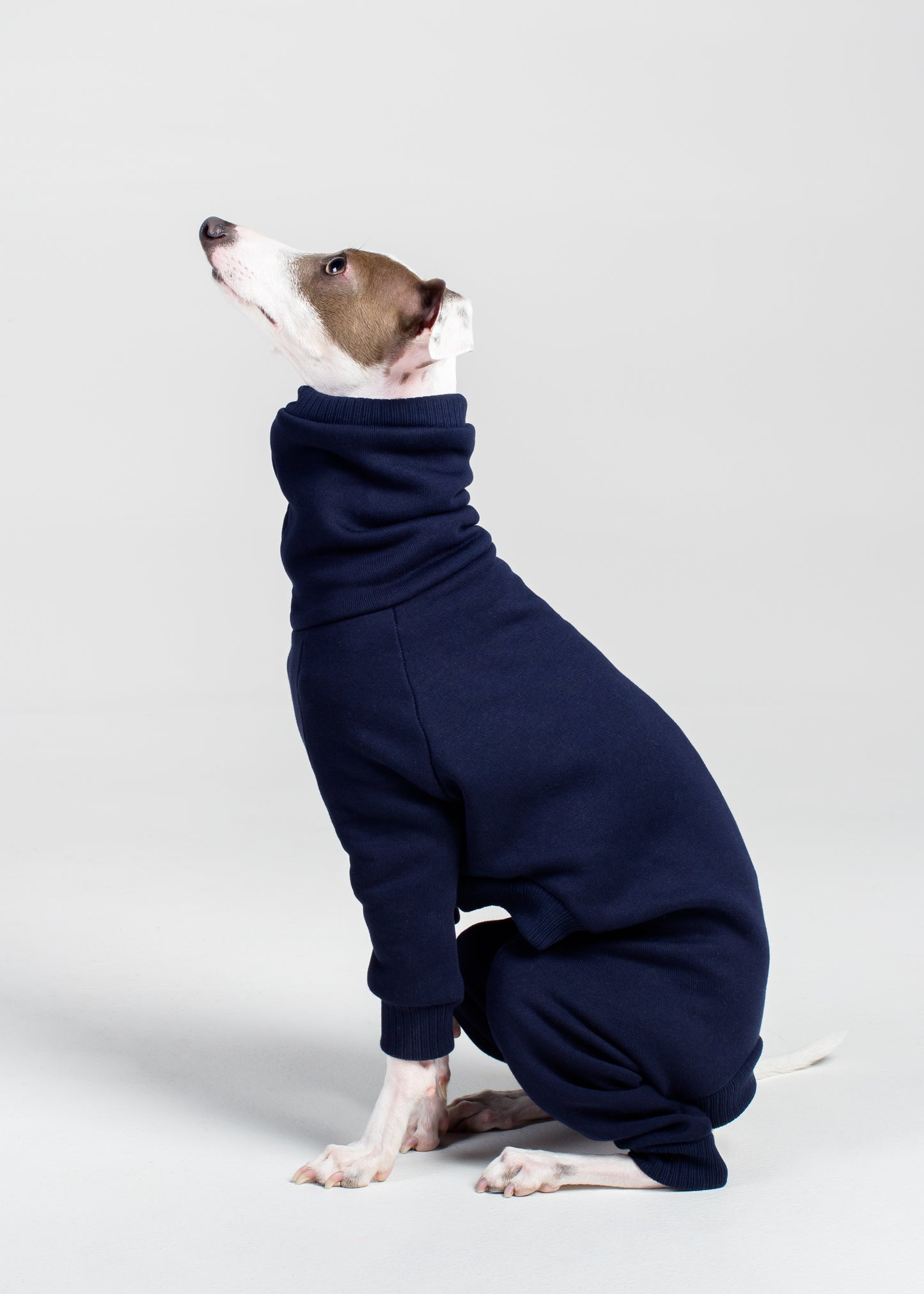 Italian Greyhound Thick Cotton Full Suit | Navy