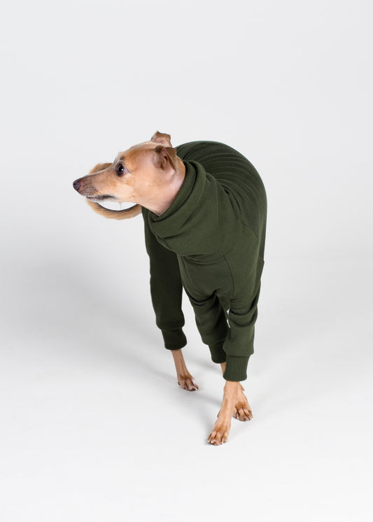 Italian Greyhound Thick Cotton Full Suit | Pine