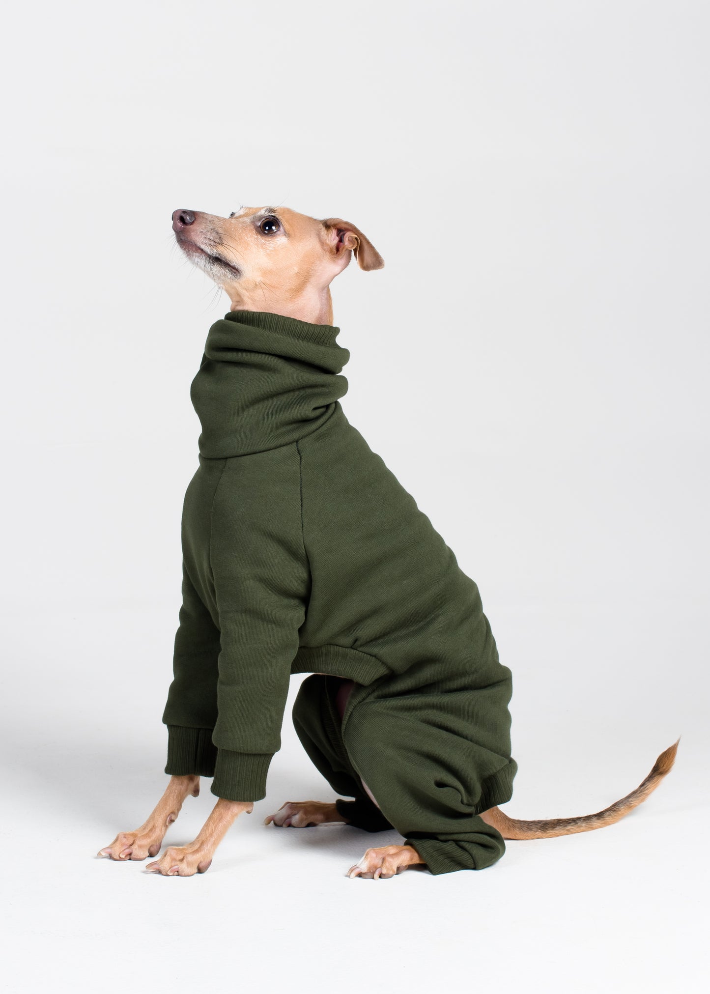 Italian Greyhound Thick Cotton Full Suit | Pine