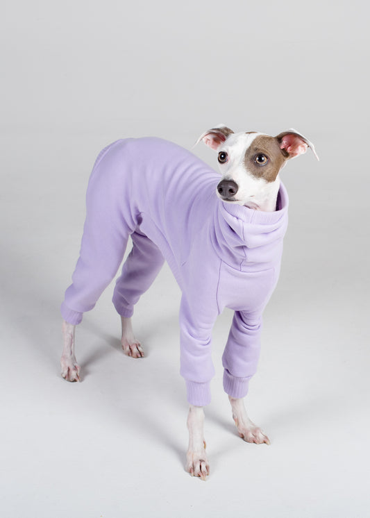 Italian Greyhound Thick Cotton Full Suit | Lilac